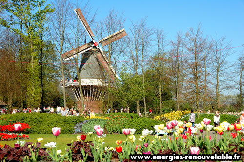 Moulin à vent 